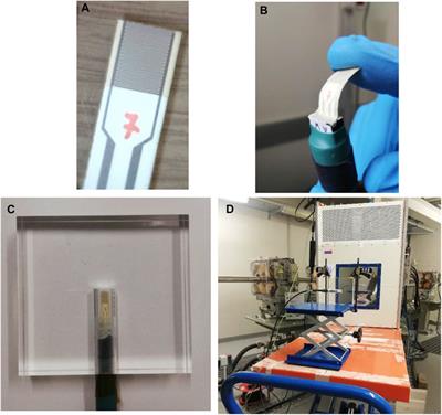 Flexible CsPbCl3 inorganic perovskite thin-film detectors for real-time monitoring in protontherapy